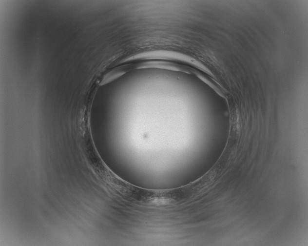 X0000071330360200607071638