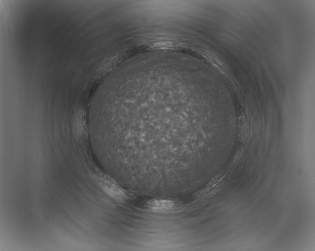 X0000071330361200607071638