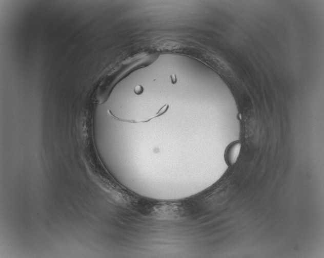 X0000071330362200607071638