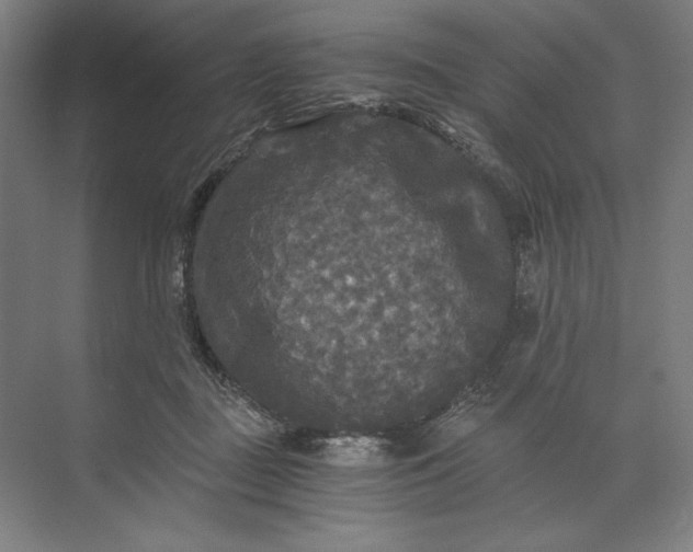 X0000071330363200607071638