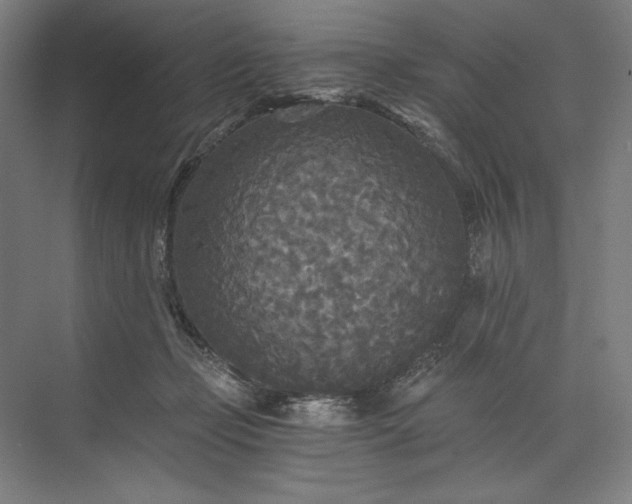 X0000071330365200607071638