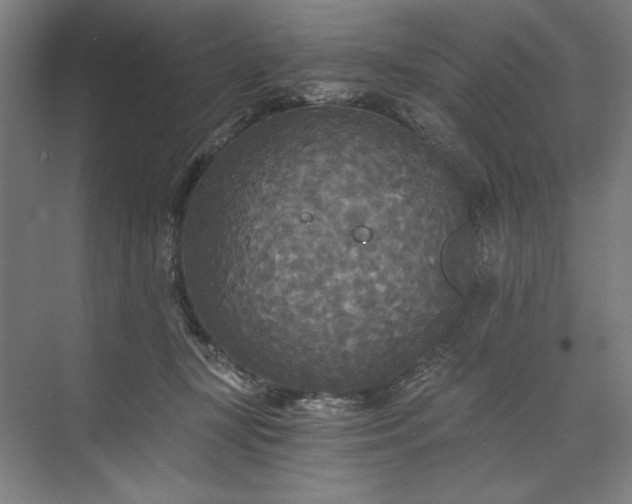 X0000071330367200607071638