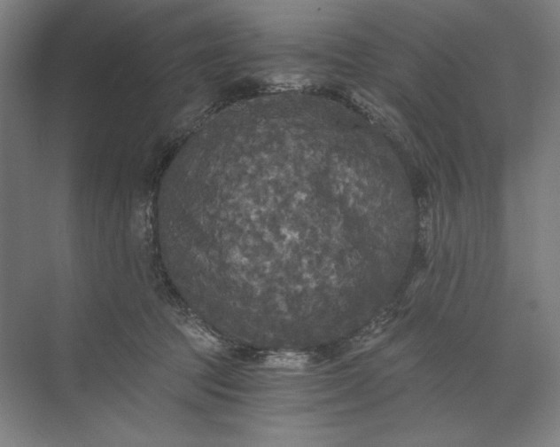 X0000071330369200607071638