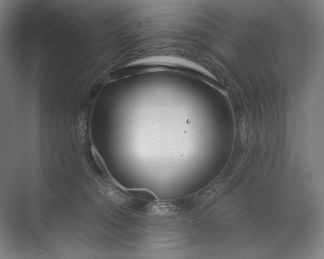 X0000071330372200607071638