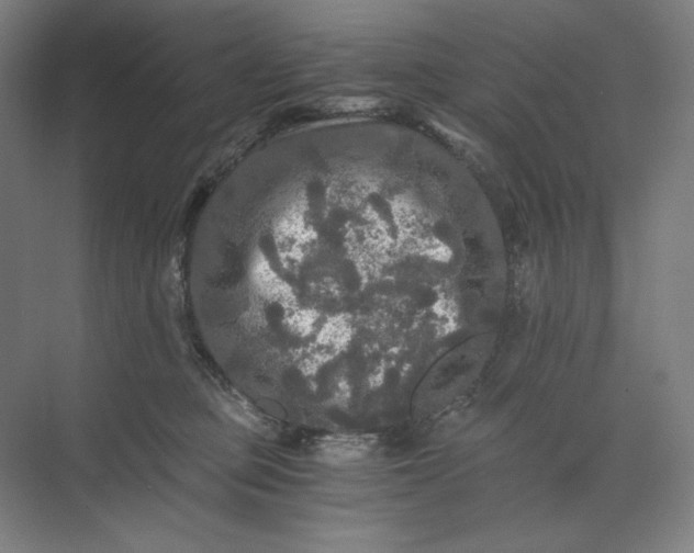 X0000071330373200607071638