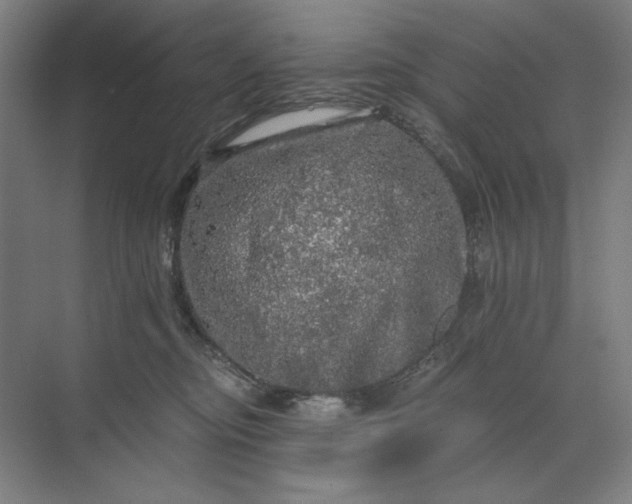 X0000071330374200607071638