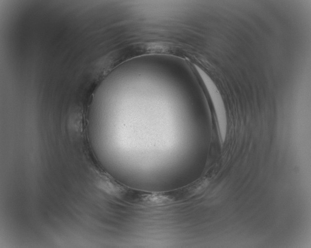 X0000071330379200607071638