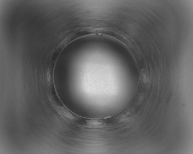 X0000071330380200607071638