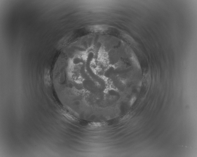 X0000071330381200607071638