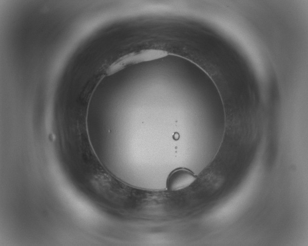 X0000071330382200607071639