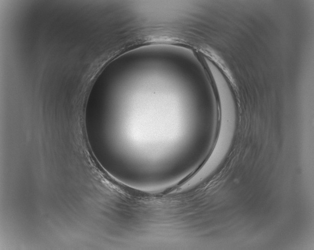 X0000071330385200607071638