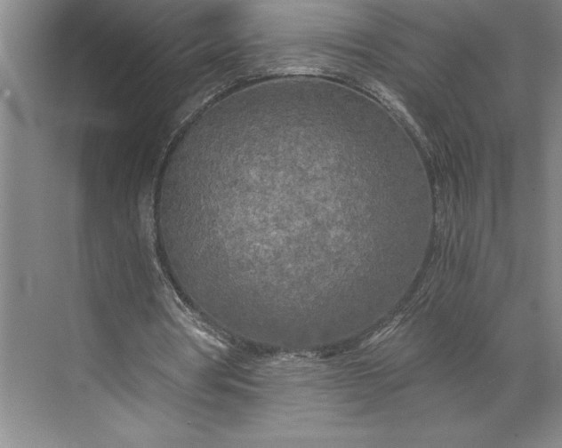 X0000071330386200607071638