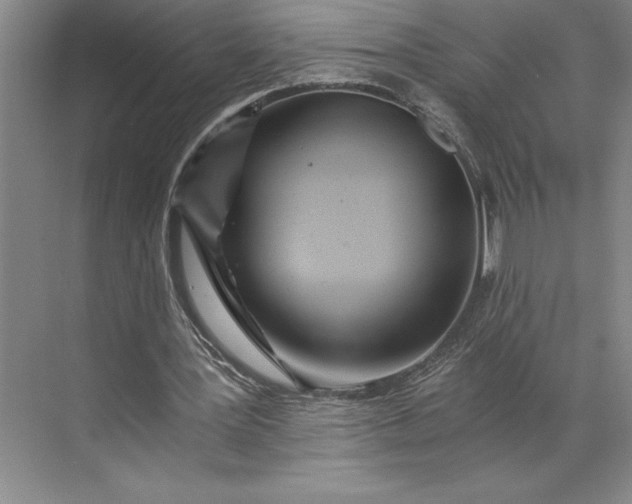 X0000071330387200607071638