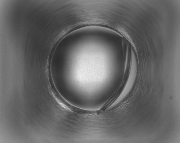 X0000071330389200607071638