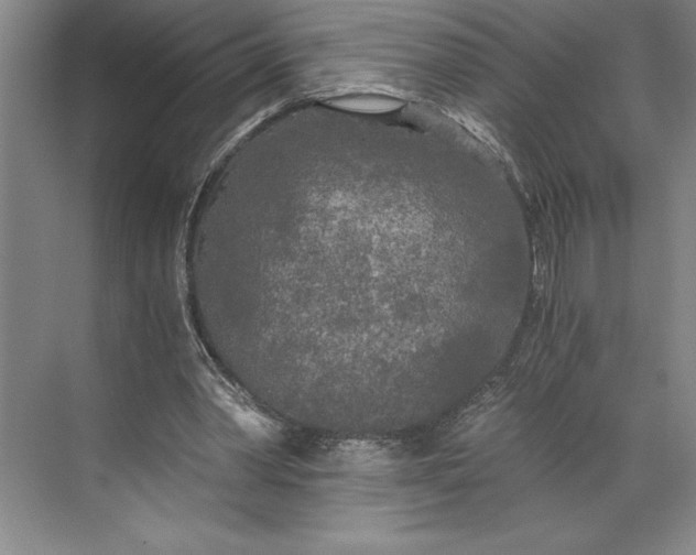 X0000071330390200607071638