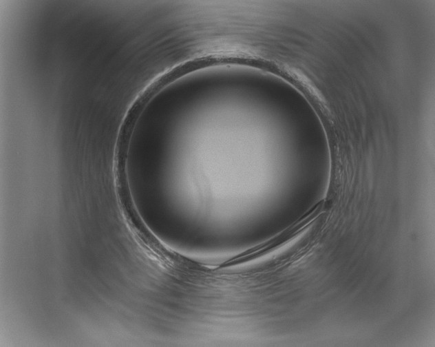 X0000071330391200607071638