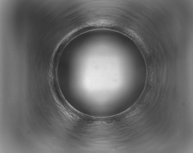 X0000071330392200607071638