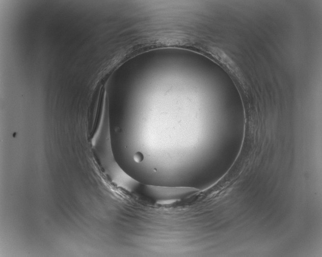 X0000071330393200607071638