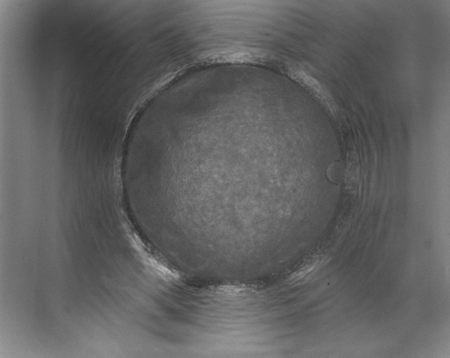 X0000071330394200607071638