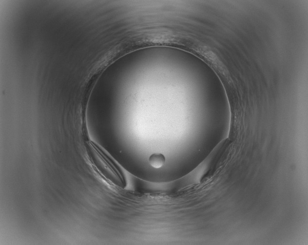 X0000071330397200607071638