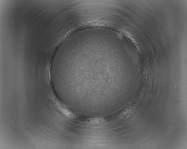 X0000071330398200607071638