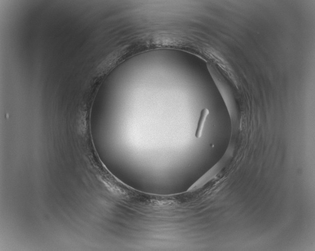 X0000071330401200607071637