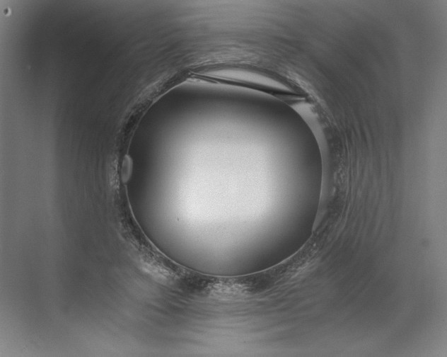 X0000071330403200607071637