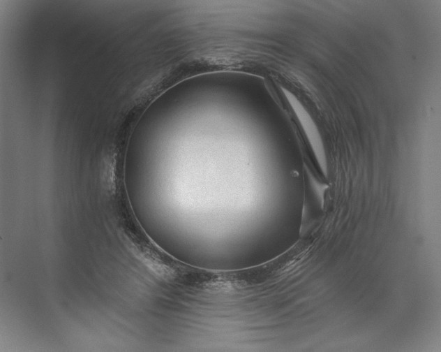 X0000071330404200607071637