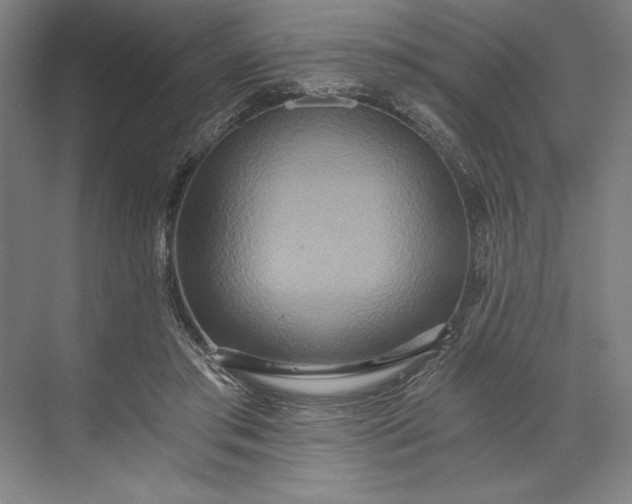 X0000071330405200607071637