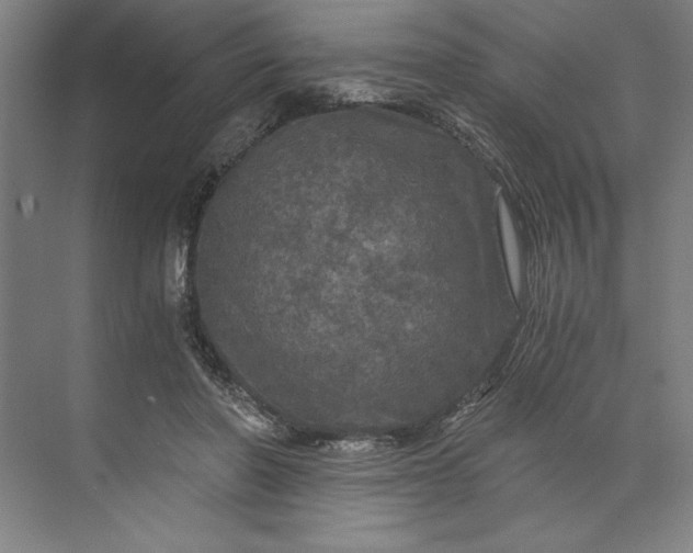 X0000071330406200607071637