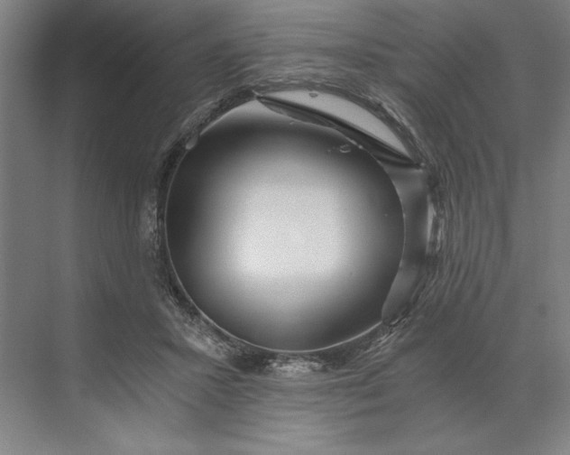 X0000071330407200607071637