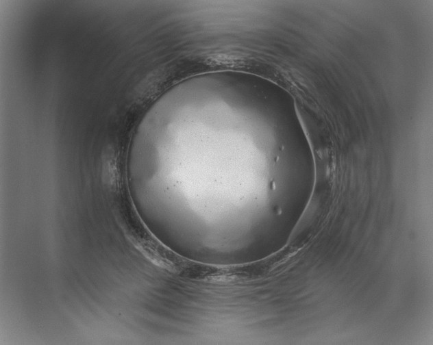 X0000071330408200607071637