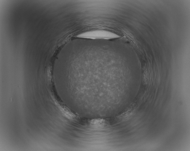 X0000071330410200607071637