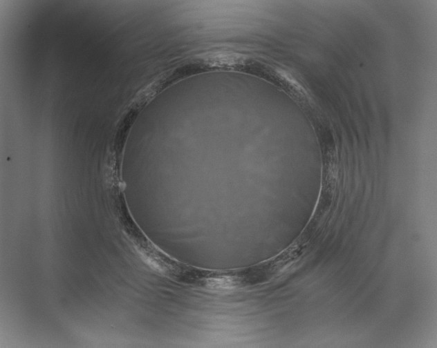 X0000071330411200607071637