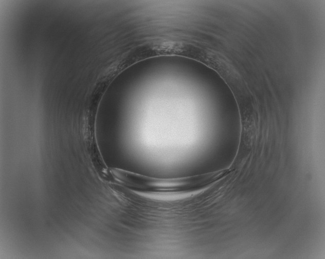 X0000071330416200607071637