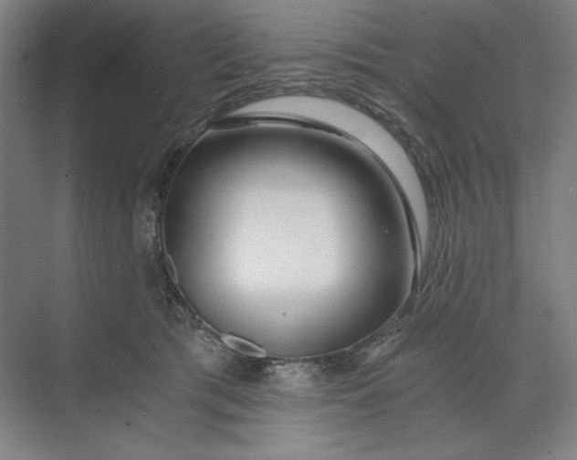 X0000071330417200607071637