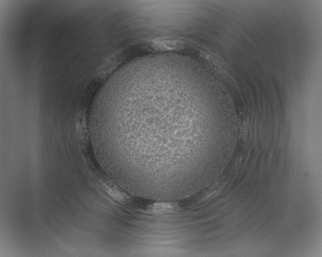 X0000071330418200607071637