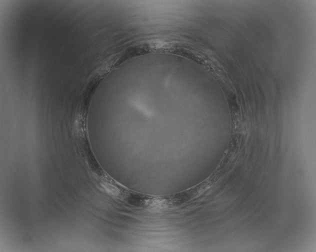 X0000071330419200607071637