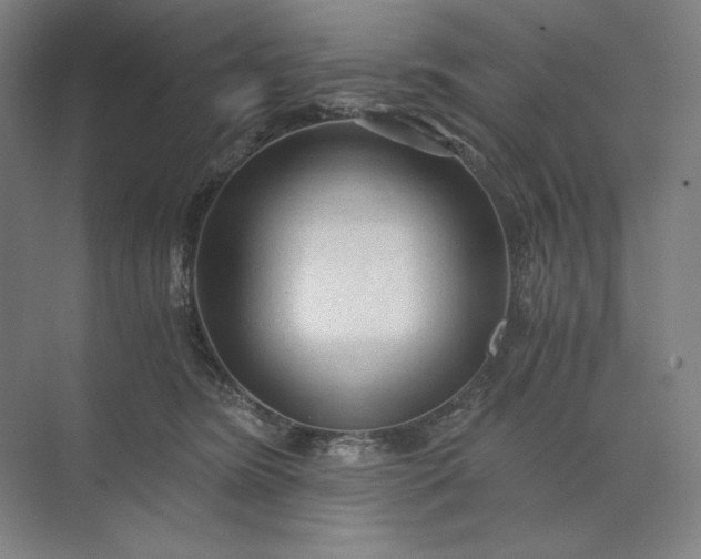 X0000071330420200607071637