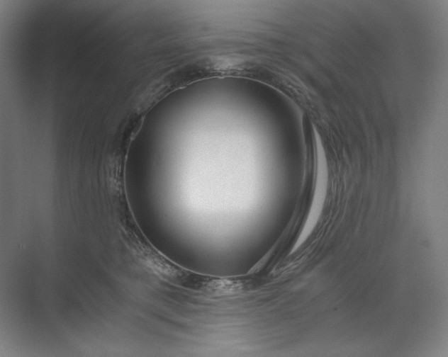 X0000071330421200607071637