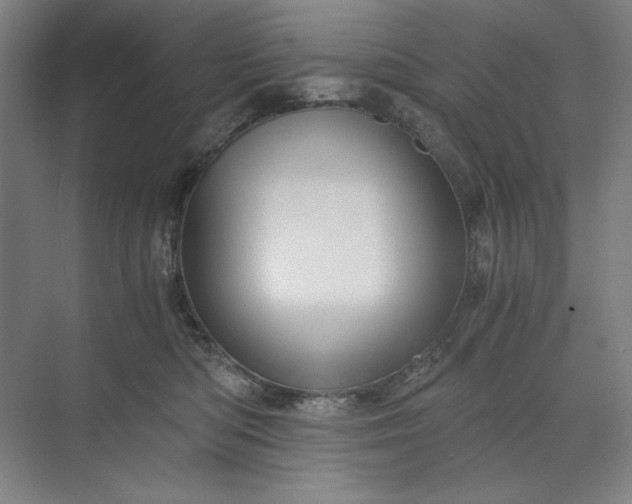 X0000071330422200607071637