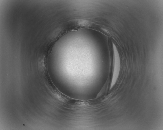 X0000071330424200607071637