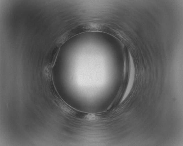 X0000071330425200607071637