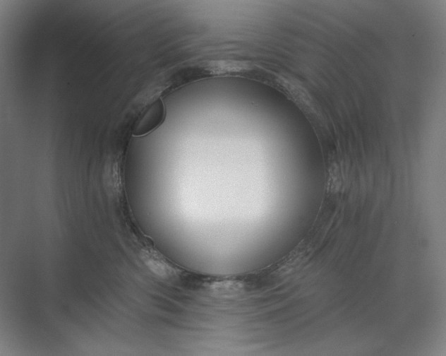 X0000071330426200607071637