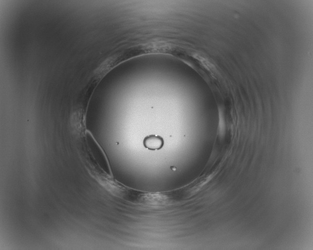 X0000071330429200607071637