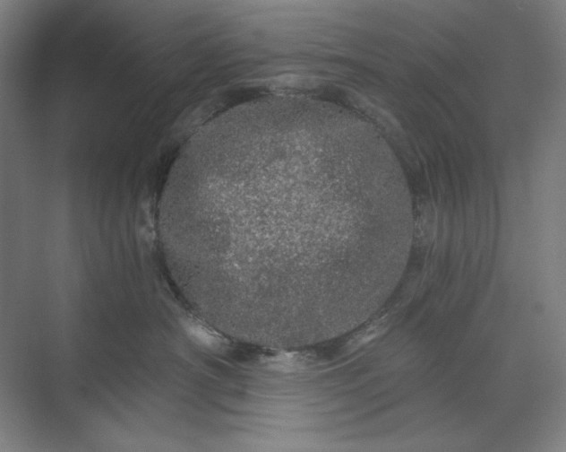 X0000071330430200607071637