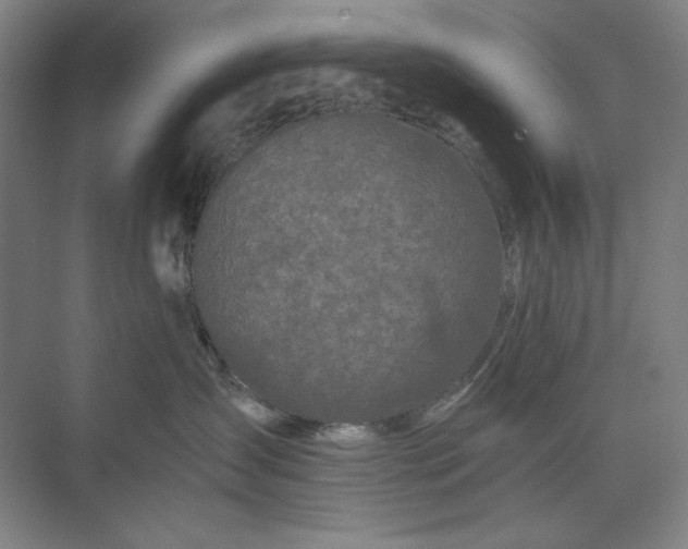 X0000071330431200607071637