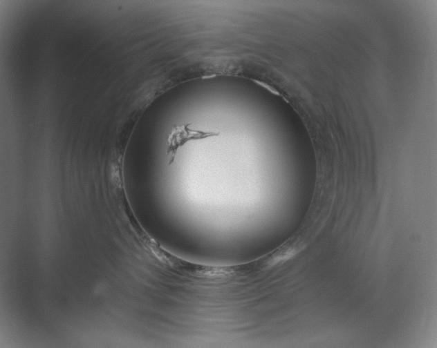 X0000071330432200607071637