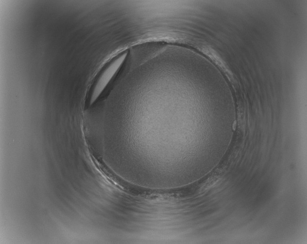 X0000071330434200607071636