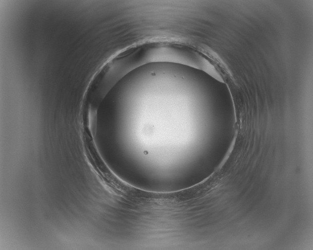 X0000071330436200607071636